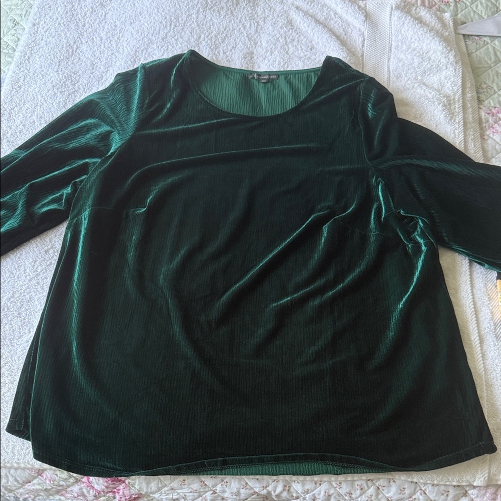 Adrianna Papell Deep Green Velvet Blouse